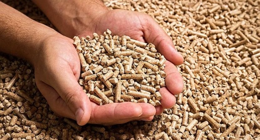 Para aumentar a produtividade e diversificar a movimentação de cargas, o Porto Ponta do Félix se prepara para uma exportação de pellets de madeira