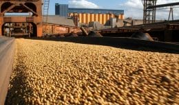 Apesar da queda na movimentação de cargas de granéis líquidos, o relatório da Antaq mostra que os granéis sólidos impulsionaram a marca de 179,8 milhões de toneladas movimentadas no ano de 2022 nos portos brasileiros